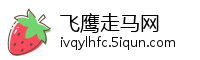 飞鹰走马网